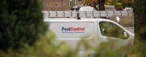 Pest Control Pirces 2020